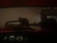 Spooky Jungle Safari image